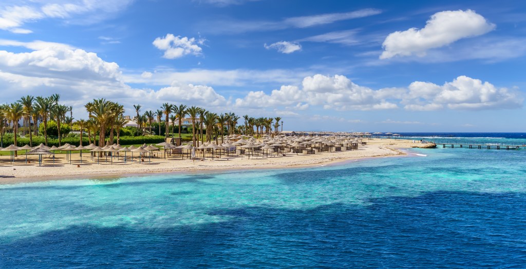 A tropical beach scene featuring palm trees, sandy shores, and beach umbrellas, with turquoise waters and blue skies dotted with fluffy clouds.