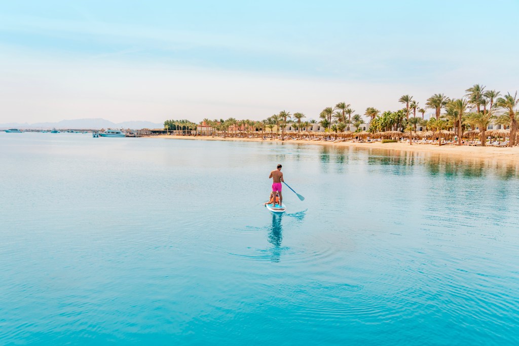 A person standing on a paddleboard in calm turquoise waters, with a beach lined with palm trees in the background.