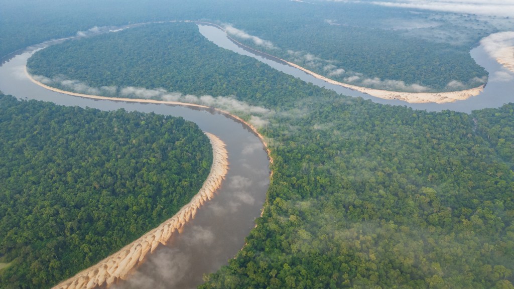 Aerial view of a winding river flowing through dense green forest with some fog in the background.